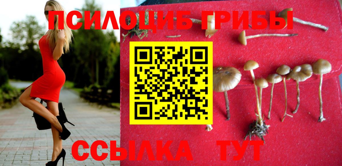 Майский  Псилоцибиновые грибы MAGIC MUSHROOMS  Вход с VPN 
