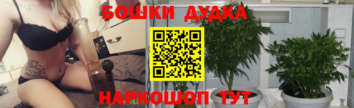 Каннабис конопля Майский